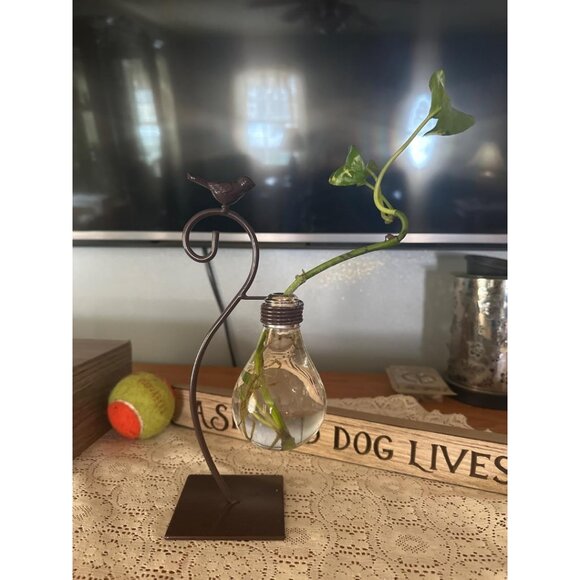 New Desktop Glass Planter Vase, Modern Bulb Holder for Home & Plant Decor - Picture 8 of 11
